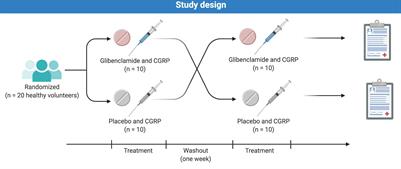 The Effect of KATP Channel Blocker Glibenclamide on CGRP-Induced Headache and Hemodynamic in Healthy Volunteers